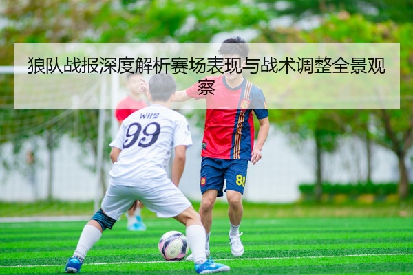 狼队战报深度解析赛场表现与战术调整全景观察