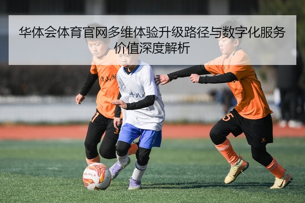 华体会体育官网多维体验升级路径与数字化服务价值深度解析